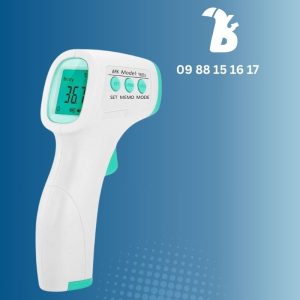 Digital Thermometer